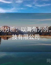 2025案例分析：以海角为例，海角科技有限公司