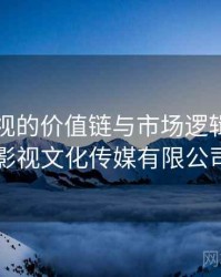 星空影视的价值链与市场逻辑，星空影视文化传媒有限公司