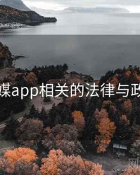 蜜桃传媒app相关的法律与政策探讨