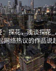 技术路径：探花，浅谈探花_从一部引起网络热议的作品说起