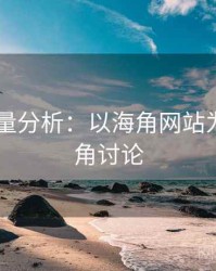 2025定量分析：以海角网站为例，海角讨论