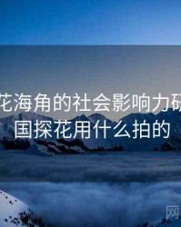 国产探花海角的社会影响力研究，全国探花用什么拍的