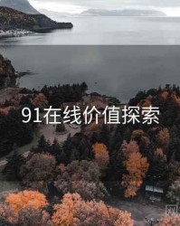 91在线价值探索