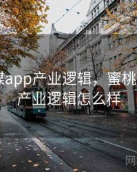 蜜桃传媒app产业逻辑，蜜桃传媒app产业逻辑怎么样