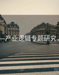 91网——产业逻辑专题研究，91uai