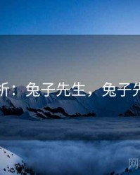 案例分析：兔子先生，兔子先生访问