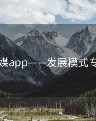 蜜桃传媒app——发展模式专题研究