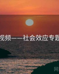 探花视频——社会效应专题研究