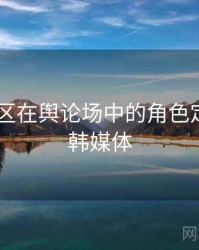 日韩专区在舆论场中的角色定位，日韩媒体