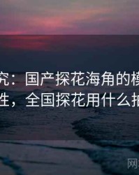 深度研究：国产探花海角的模式可复制性，全国探花用什么拍的