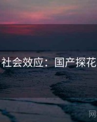 社会效应：国产探花