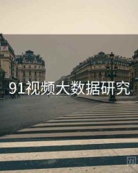 91视频大数据研究