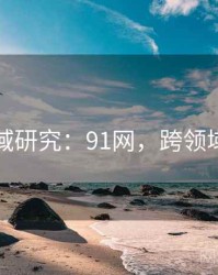 跨领域研究：91网，跨领域应用