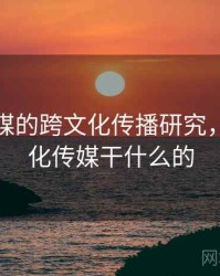 星空传媒的跨文化传播研究，星空文化传媒干什么的