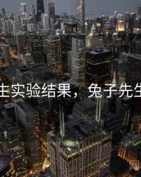 兔子先生实验结果，兔子先生的节目