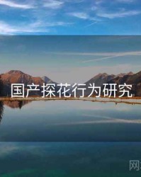 国产探花行为研究