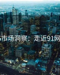 2025市场洞察：走近91网页版