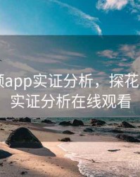 探花视频app实证分析，探花视频app实证分析在线观看