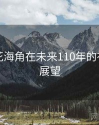国产探花海角在未来110年的社会观察展望