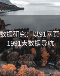 2025大数据研究：以91网页版为例，1991大数据导航