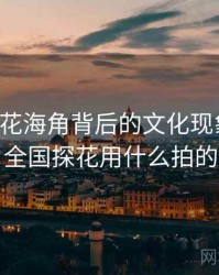 国产探花海角背后的文化现象解读，全国探花用什么拍的