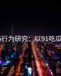 2025行为研究：以91吃瓜为例