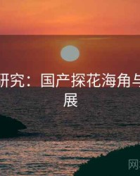 跨学科研究：国产探花海角与社会发展