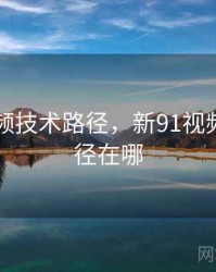 新91视频技术路径，新91视频技术路径在哪