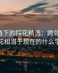 学术视角下的探花精选：跨领域探讨，探花相当于现在的什么学位