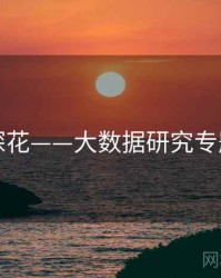 国产探花——大数据研究专题研究