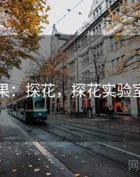 实验结果：探花，探花实验室是什么