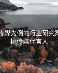 以蜜桃传媒为例的行业研究案例，蜜桃传媒代言人