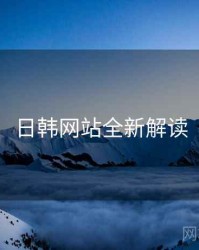 日韩网站全新解读
