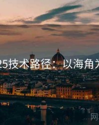 2025技术路径：以海角为例