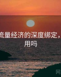 探花与流量经济的深度绑定，探花能用吗