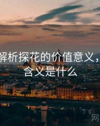多维度解析探花的价值意义，探花的含义是什么