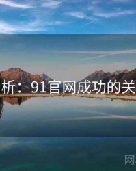 案例分析：91官网成功的关键因素