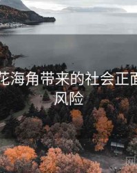 国产探花海角带来的社会正面效应与风险