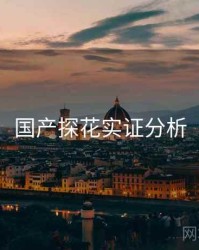 国产探花实证分析