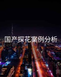 国产探花案例分析