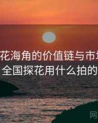 国产探花海角的价值链与市场逻辑，全国探花用什么拍的