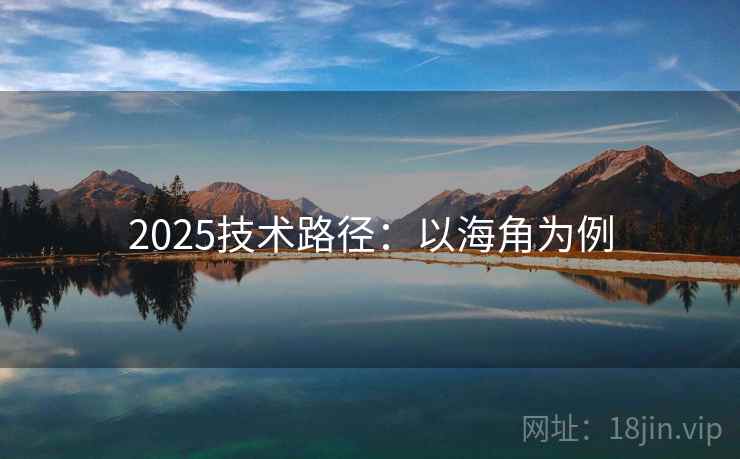 2025技术路径：以海角为例