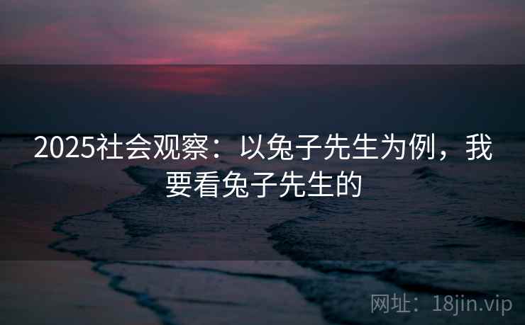 2025社会观察：以兔子先生为例，我要看兔子先生的