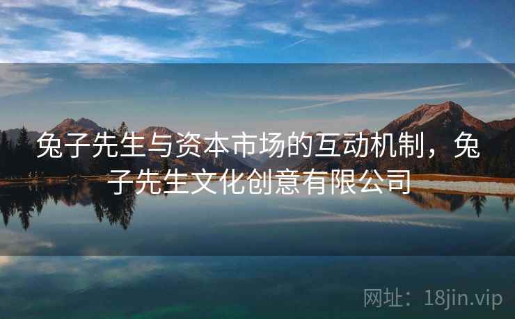 兔子先生与资本市场的互动机制，兔子先生文化创意有限公司