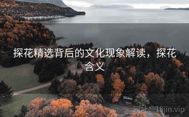 探花精选背后的文化现象解读，探花含义