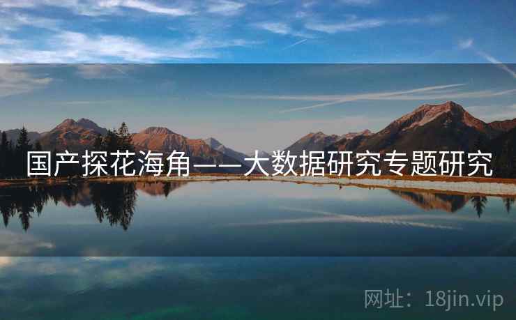 国产探花海角——大数据研究专题研究