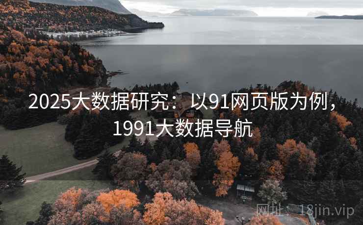 2025大数据研究：以91网页版为例，1991大数据导航