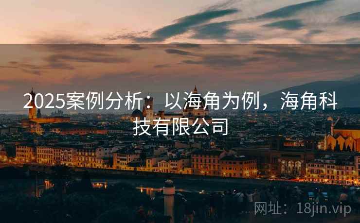 2025案例分析：以海角为例，海角科技有限公司