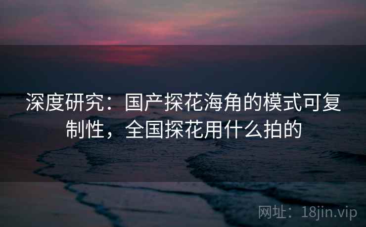 深度研究：国产探花海角的模式可复制性，全国探花用什么拍的