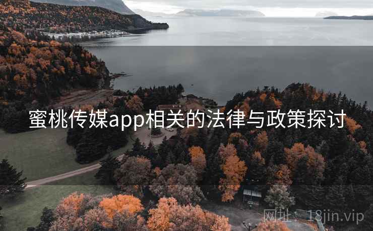 蜜桃传媒app相关的法律与政策探讨 蜜桃传媒app相关的法律与政策探讨